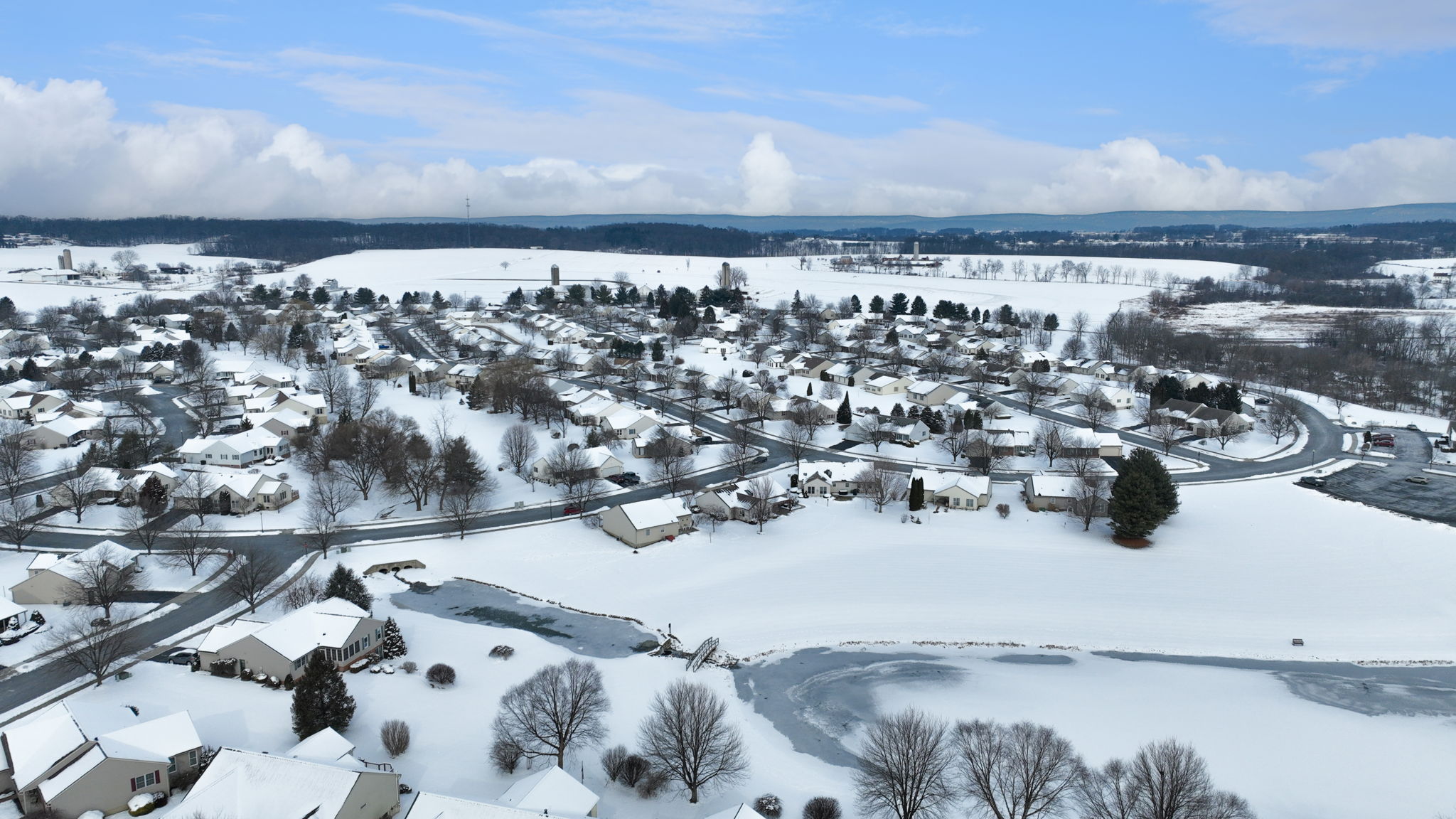 12-web-or-mls-BSV-12