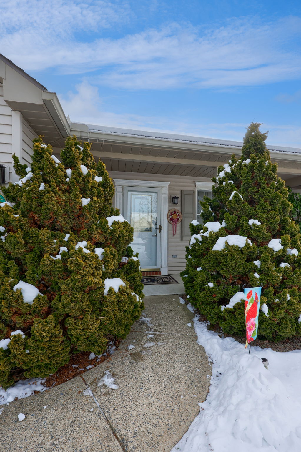 16-web-or-mls-BSV-16