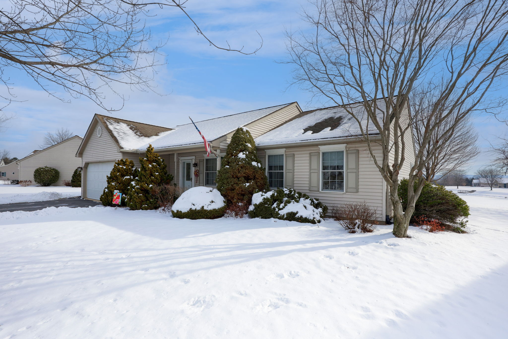 19-web-or-mls-BSV-19