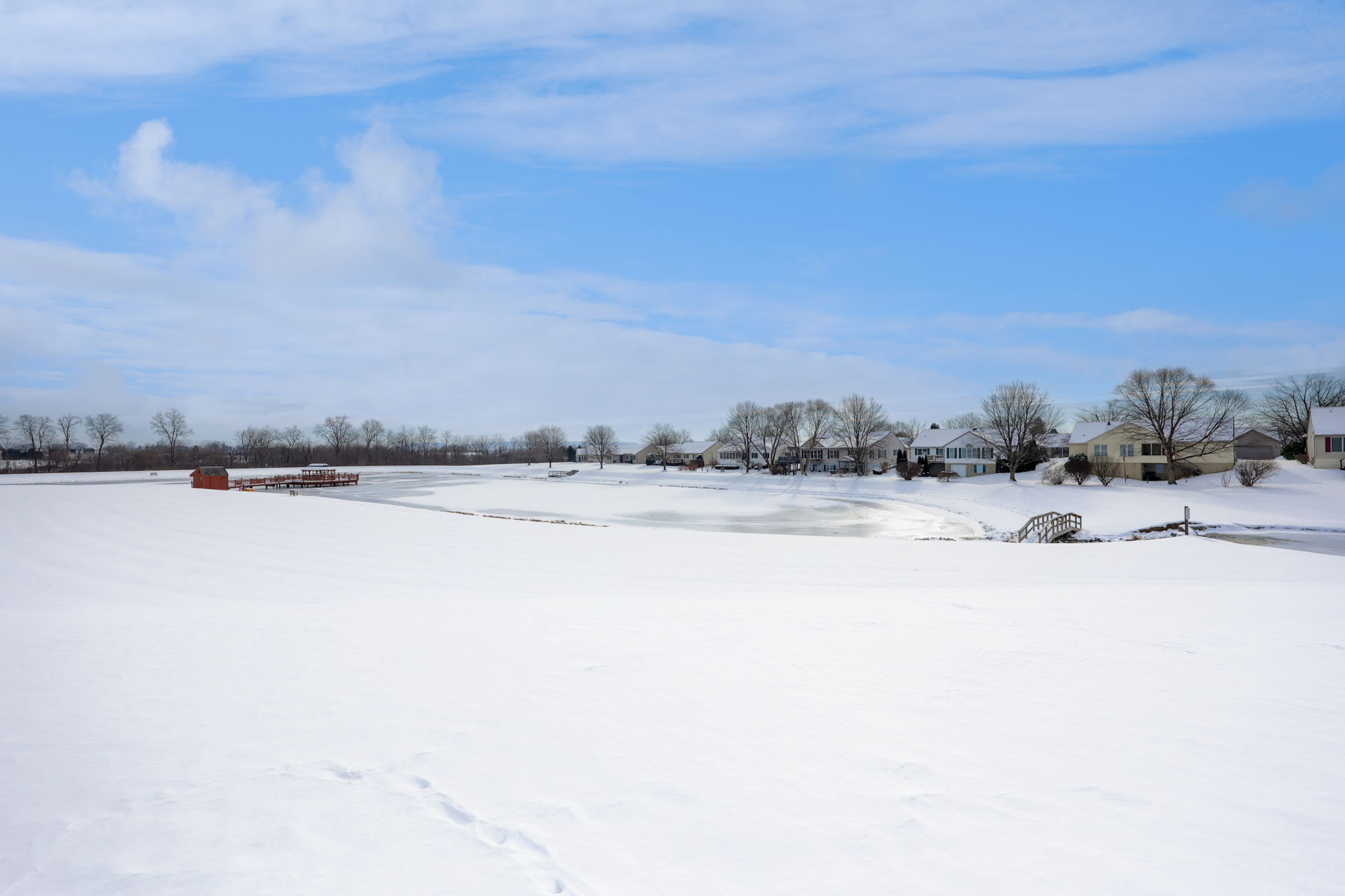 20-web-or-mls-BSV-20