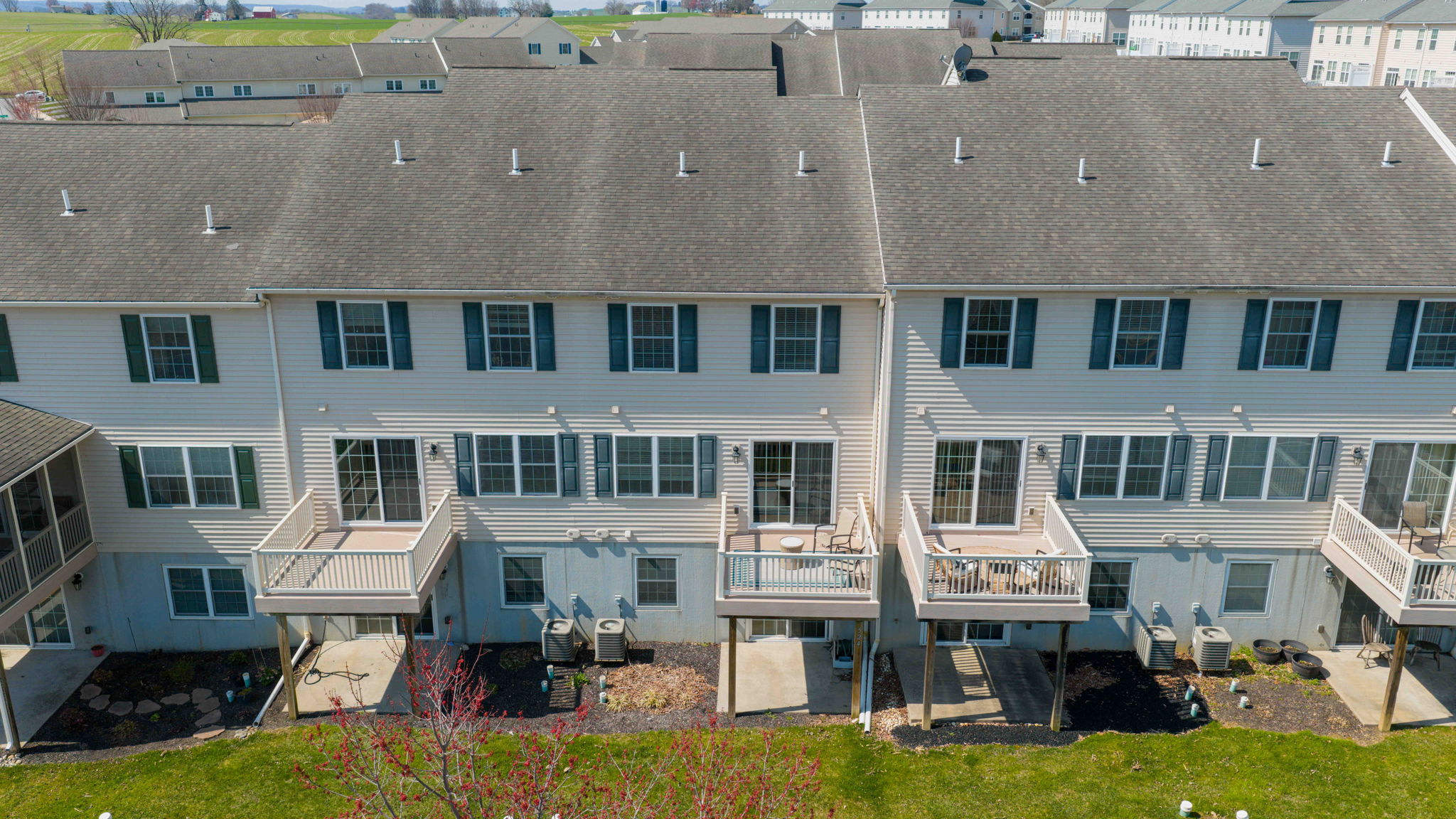 12-web-or-mls-BSV-12